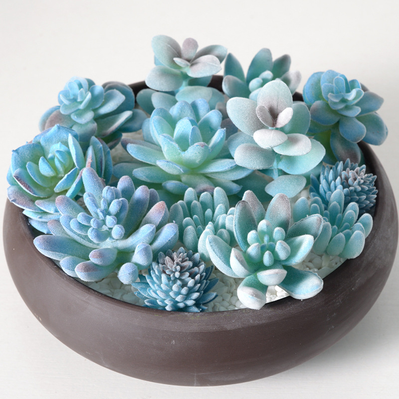 Home Decor Simulator - 4pc azul reunindo simulação planta suculenta