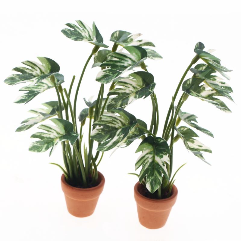 Novo. 1PC Planta Verde Monster - Home Decor Simulator avaliação e preço